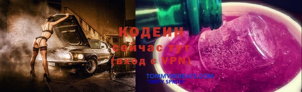 прущие грибы Няндома
