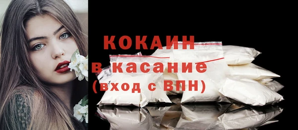 мет Новозыбков