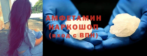 прущие грибы Няндома