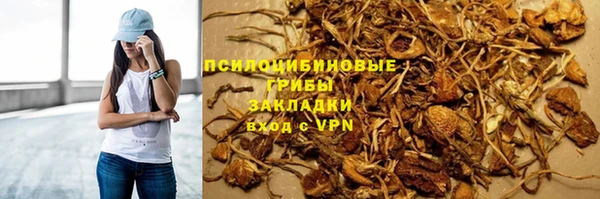стафф Валдай
