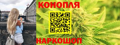 гашик Гусь-Хрустальный