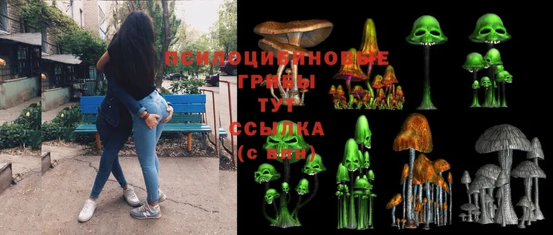 Галлюциногенные грибы Cubensis  Красный Сулин 