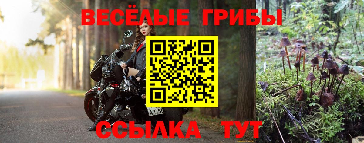 Псилоцибиновые грибы Magic Shrooms Красный Сулин